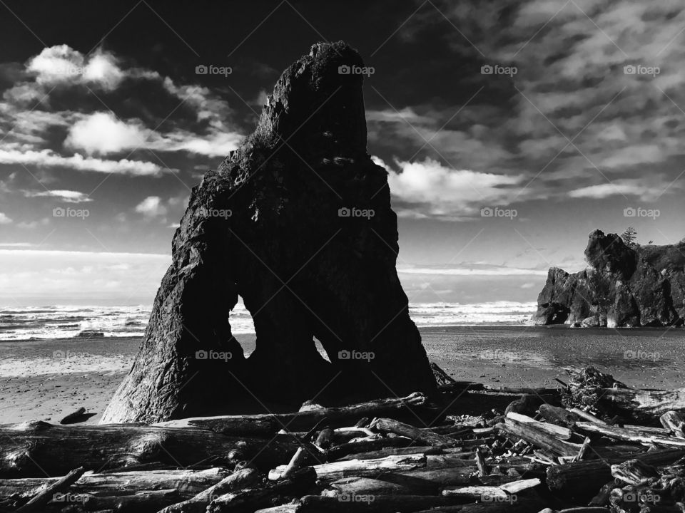 Driftwood on beach