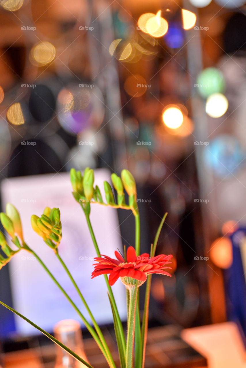 Close-up of flower bouquet