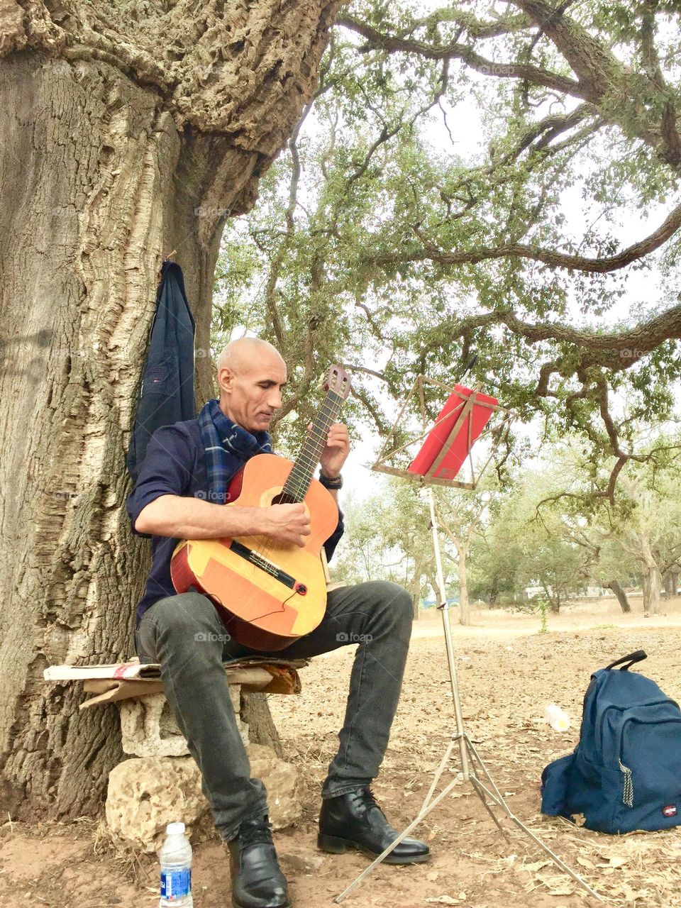 My photo of this month 