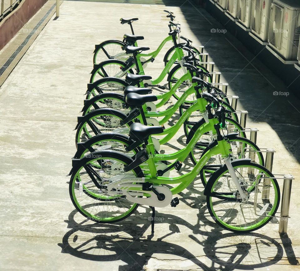 Green colour bicycles in a row in Singapore 