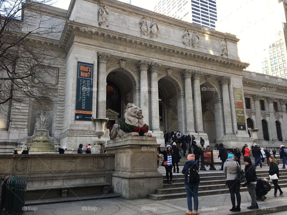 The stunning New York Public Library in all its glory.