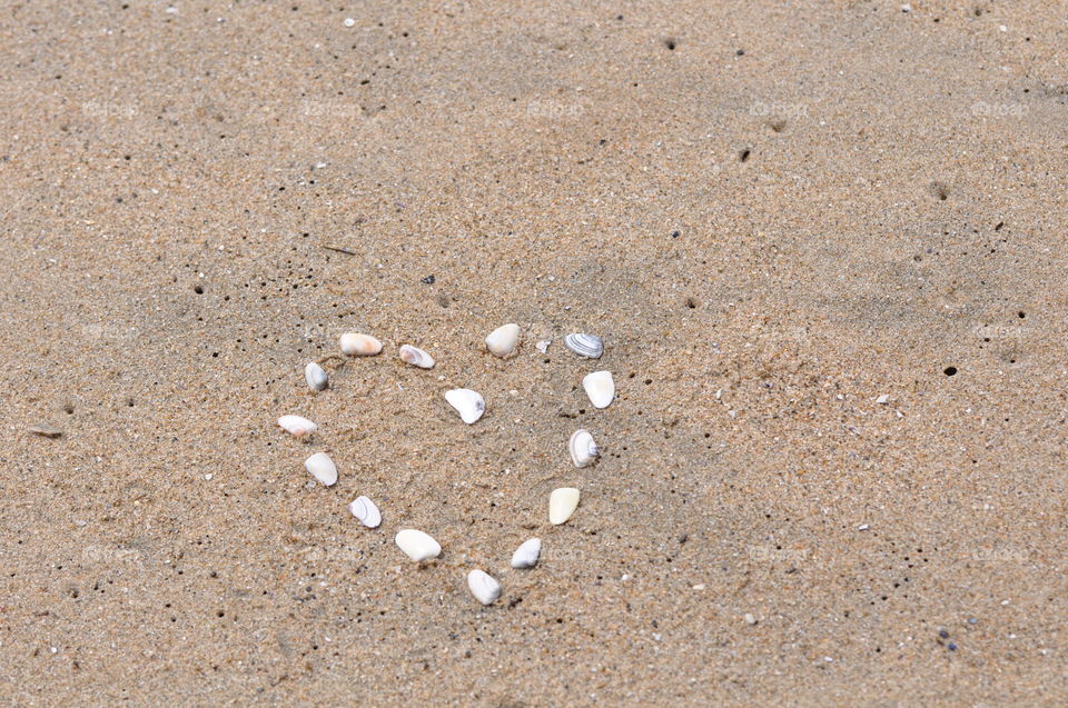 Seashells heart