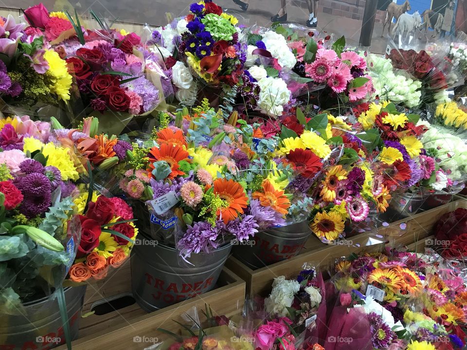 Multicolor flowers