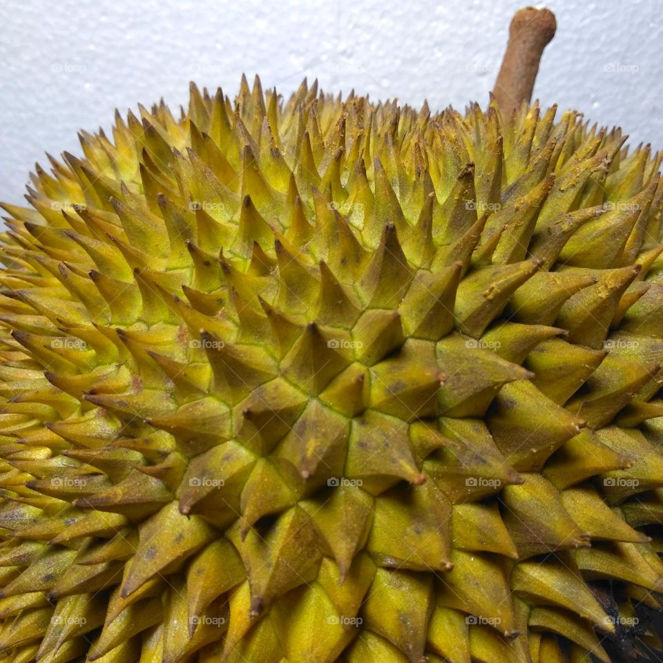 Fresh durian fruit on market