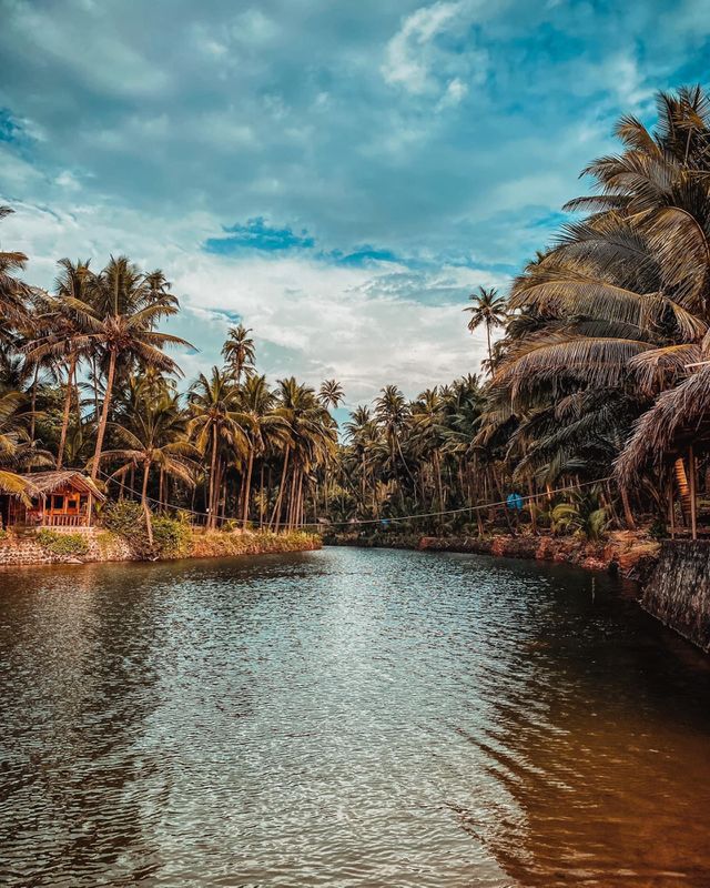 beauty of nature
