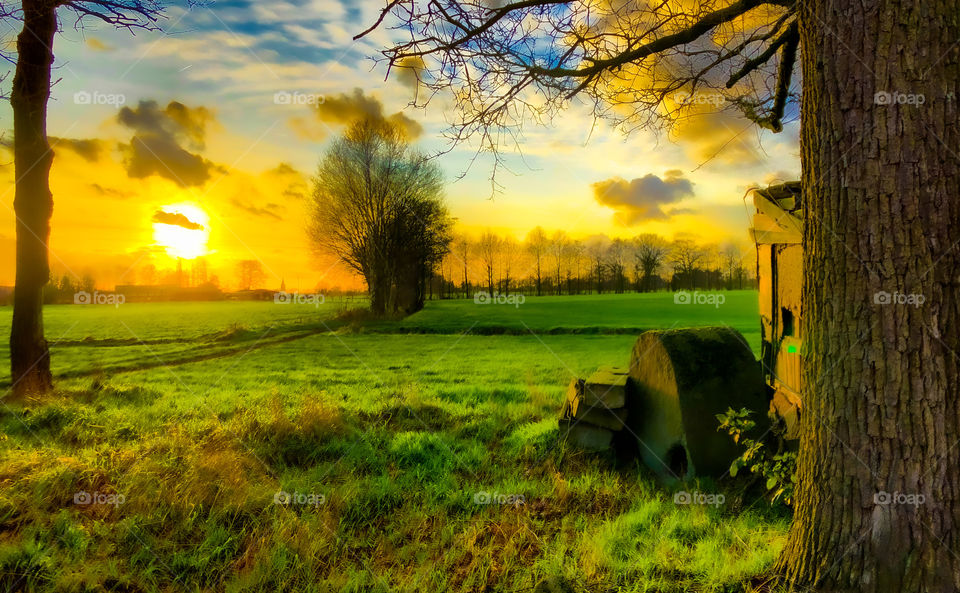 Golden sunset or sunrise over a lush green meadow seen from between trees and behind an old shed 