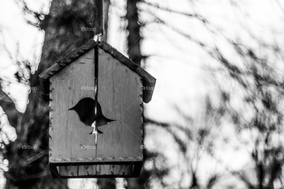 Bird house