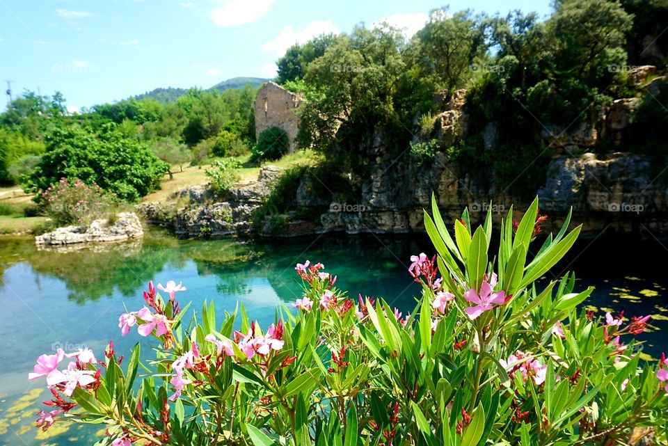 Hiddenplace#nature#lake#plants#flowers#rocks#trees