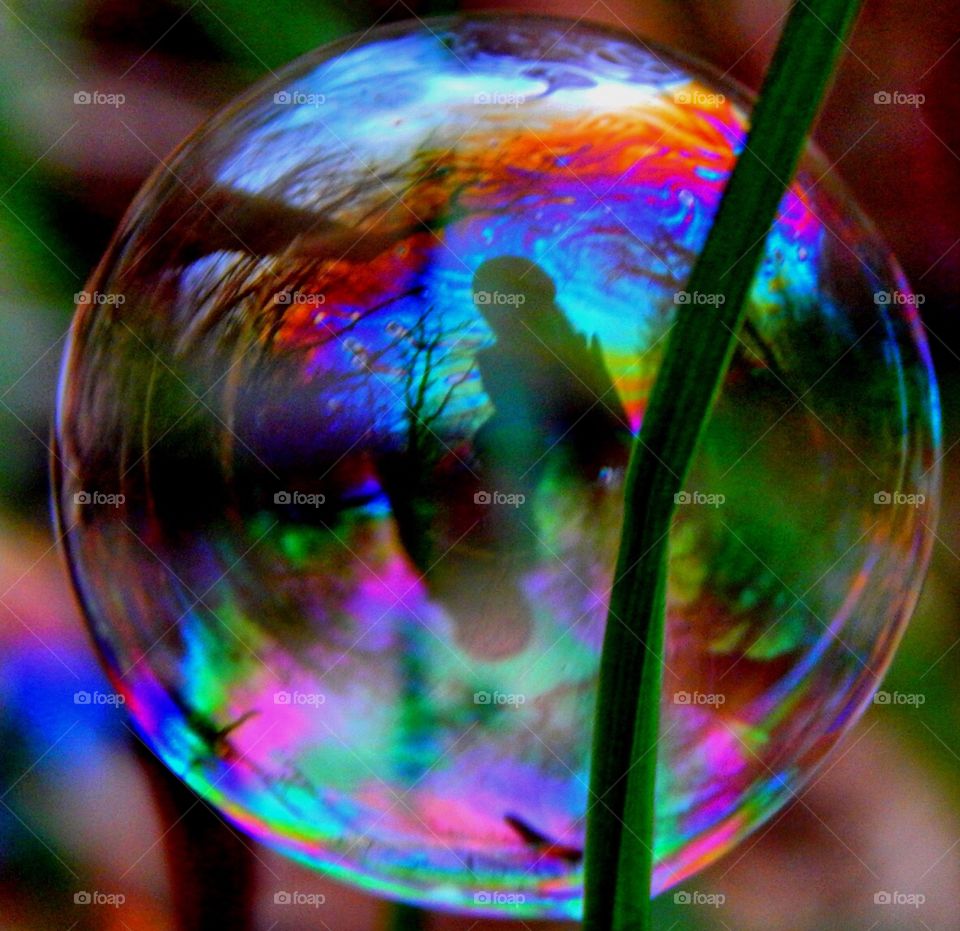 In My World Everything is Nonsense . Bubble Photography 