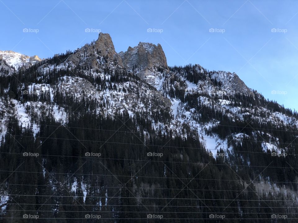 Grand mountains covered in evergreen trees.