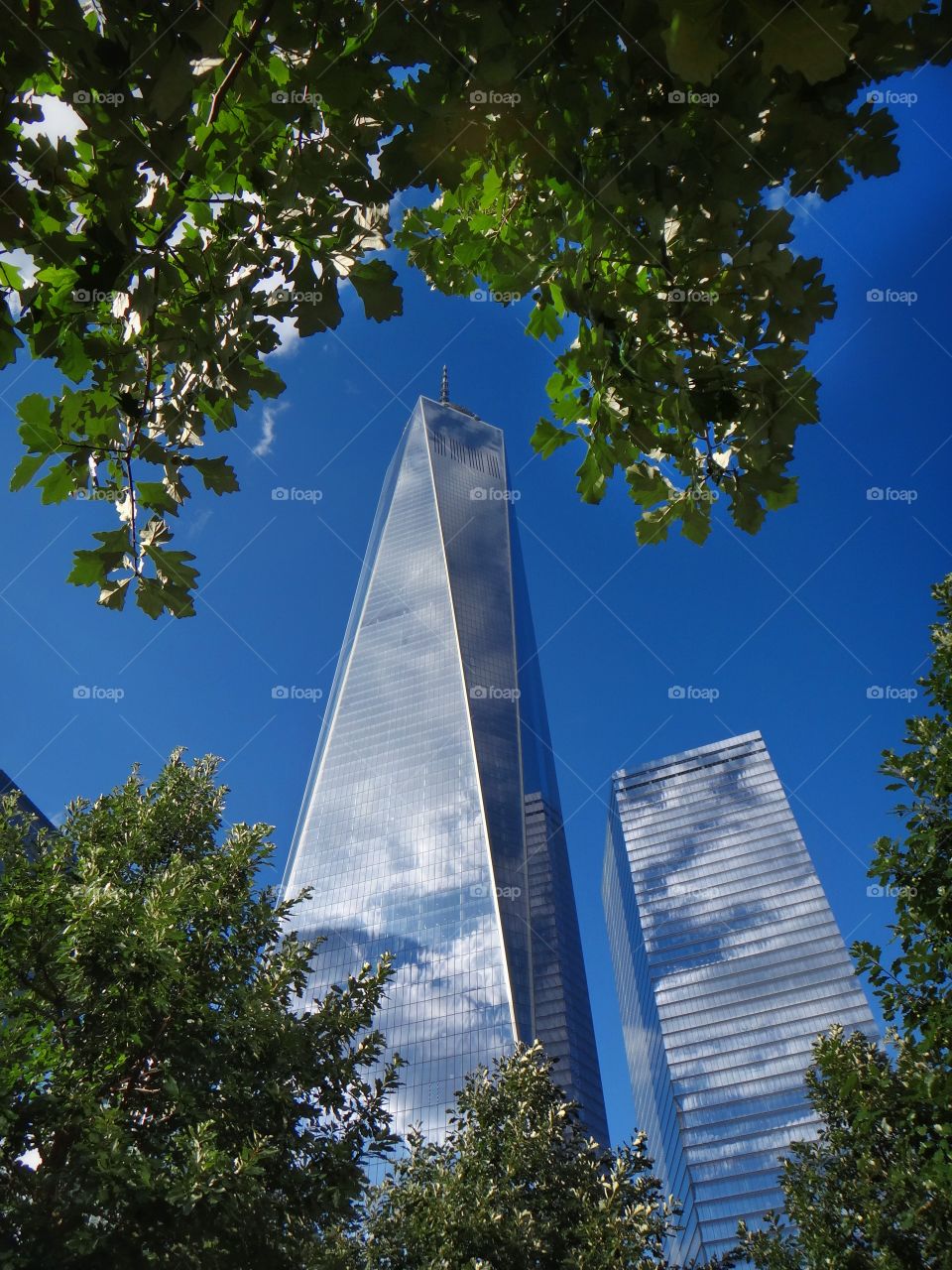 Freedom tower . Freedom tower new york city