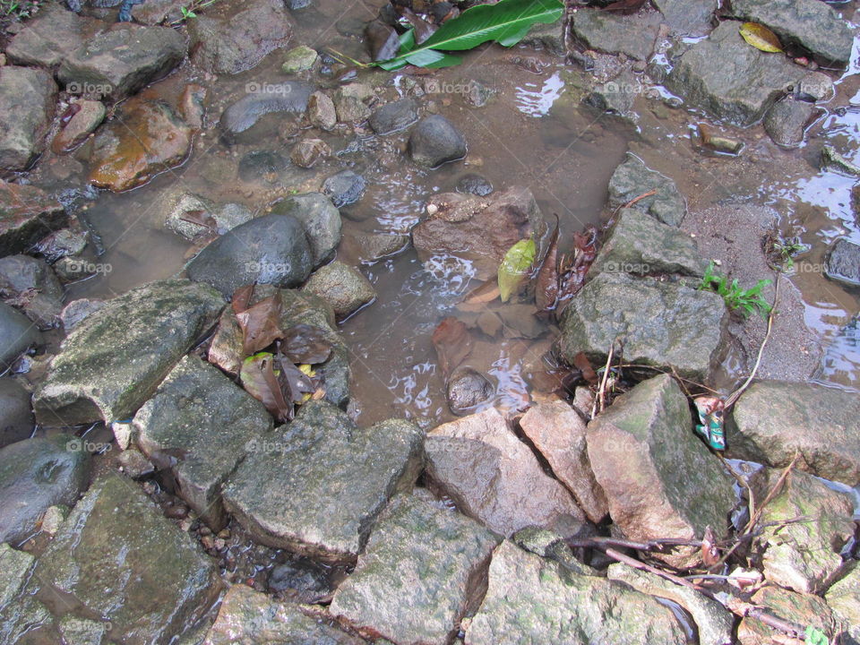 Water, Nature, River, Rock, Environment