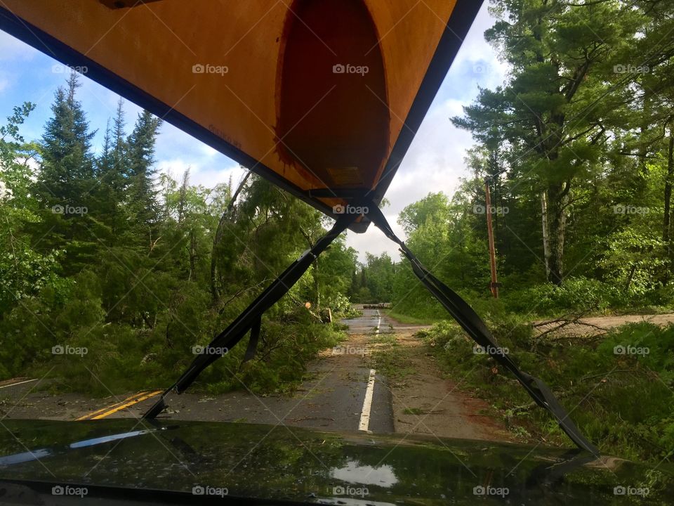 Here is a canoe on a car with tress fallen in front of it.