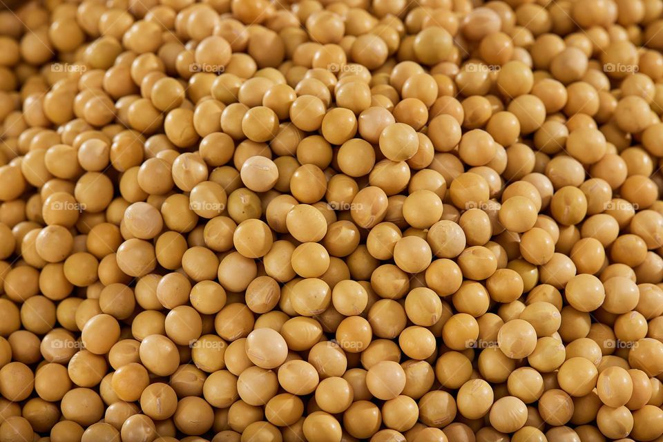 soybeans background