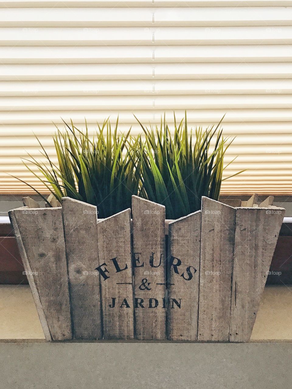 Plants