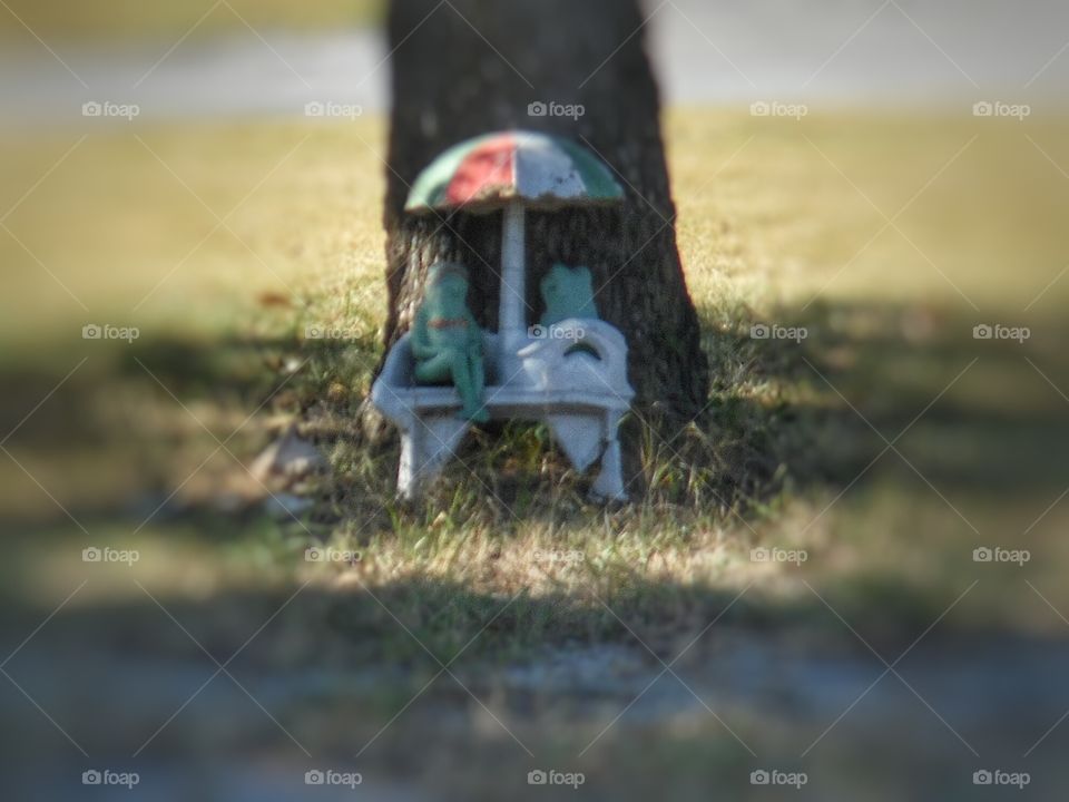 come here often. This is a cute picture of some frogs in love 😍. 👣 🚶 🏃 🔥 💨
