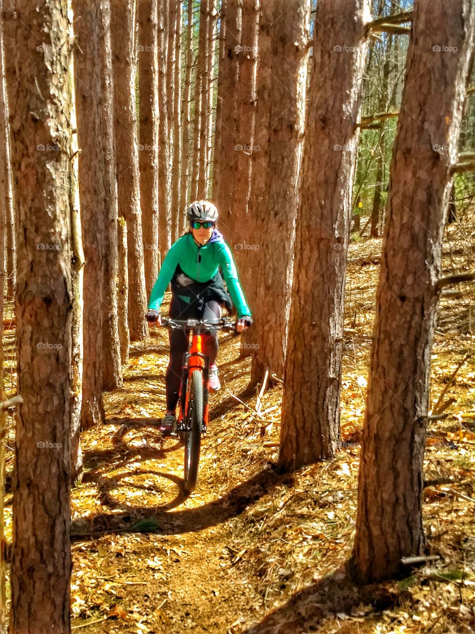 Woman Mountain biking through Pineforest