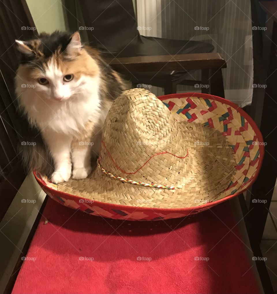 Mexican hat dance