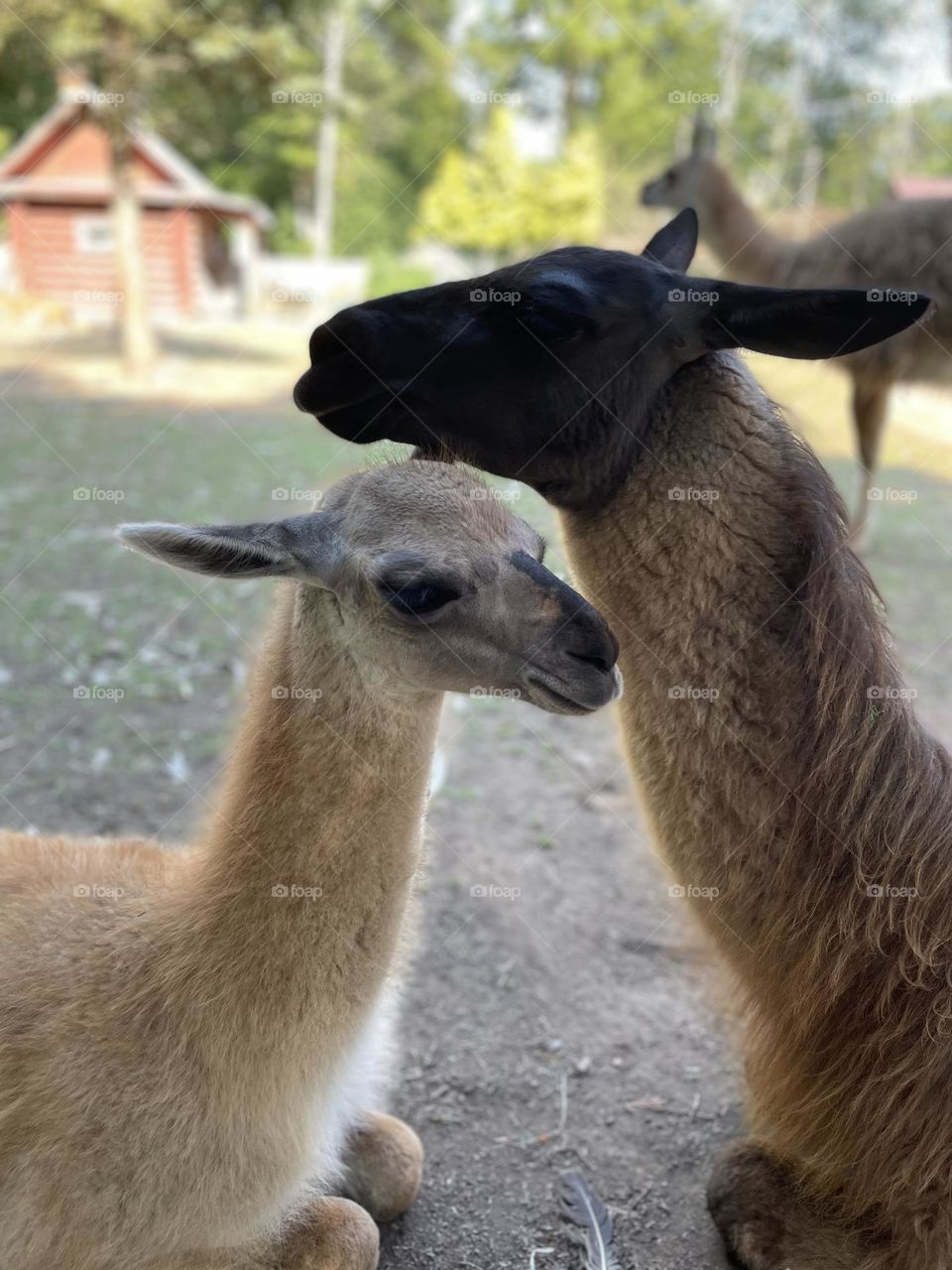 Mom and her daughter 💞