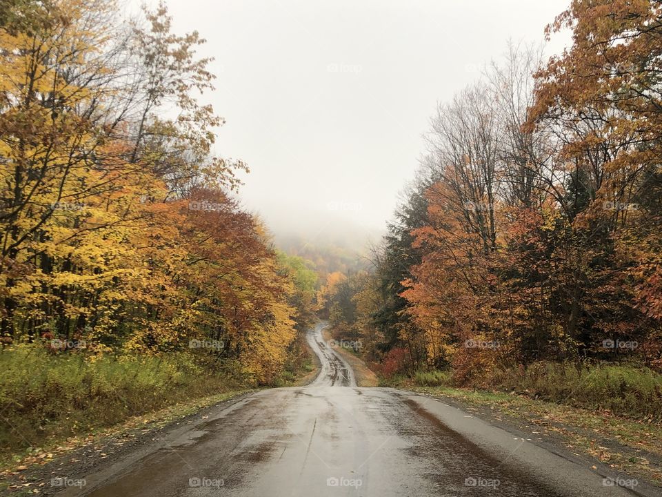 Autumn drives in Allegany, NY. 