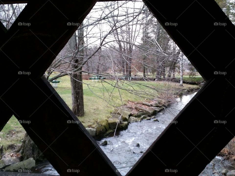 Bridge, No Person, Light, Water, Tree