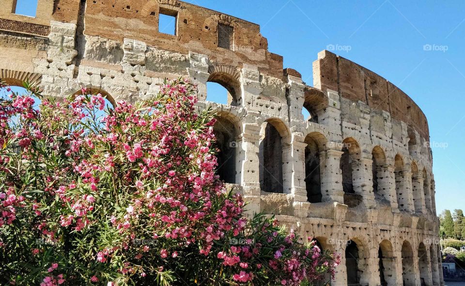 Colosseum, Rome