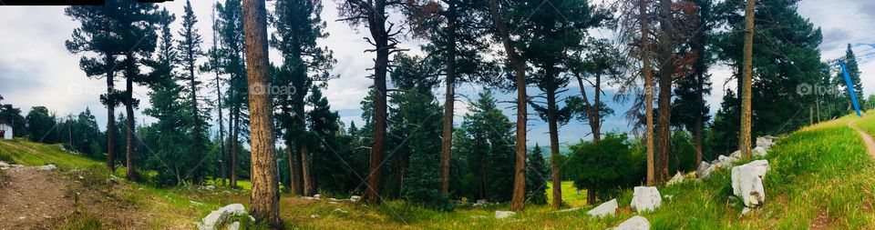 The top of this mountain was refreshingly untouched. The sky, trees, and grass all blended together beautifully.