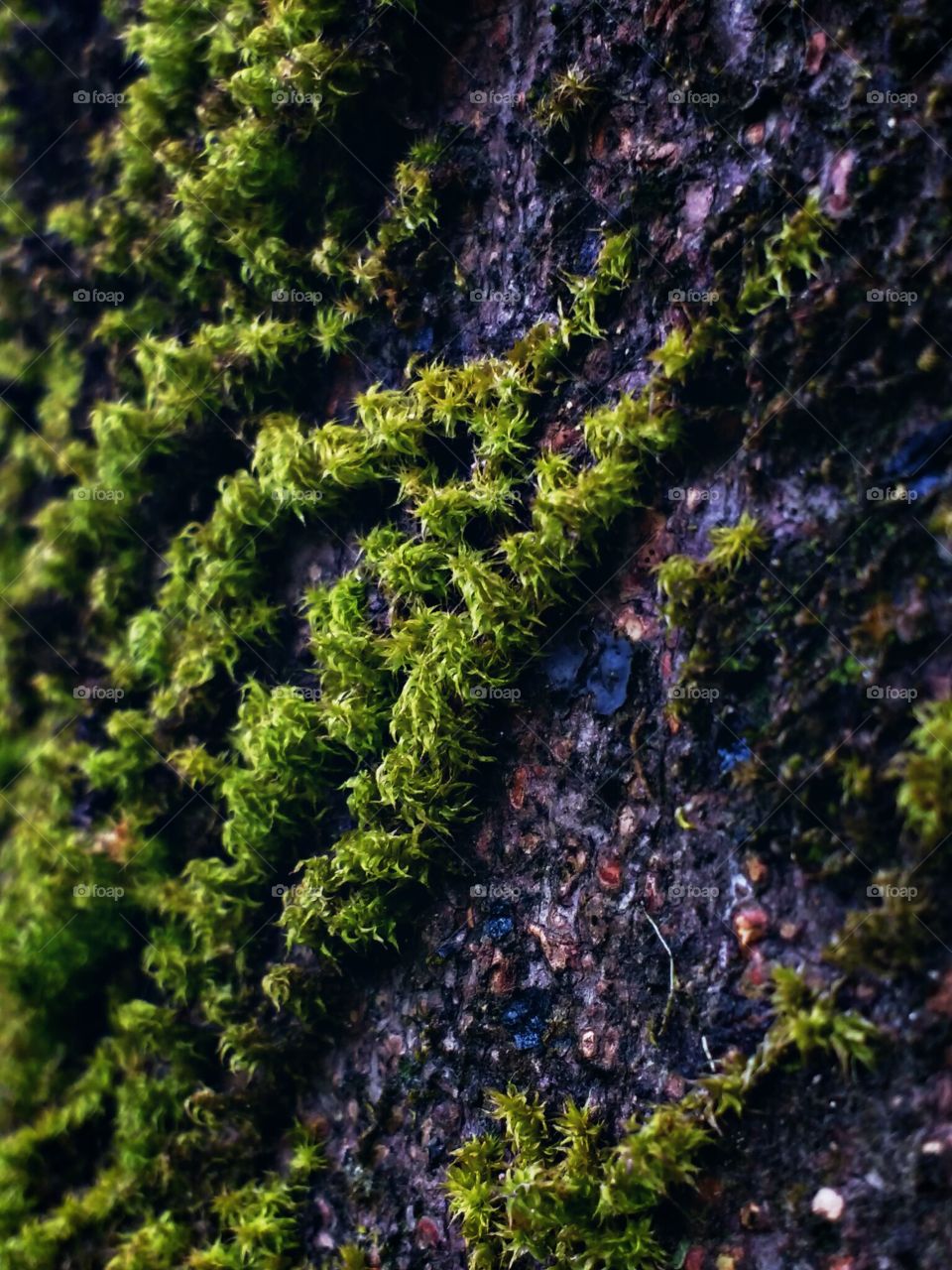 small plants