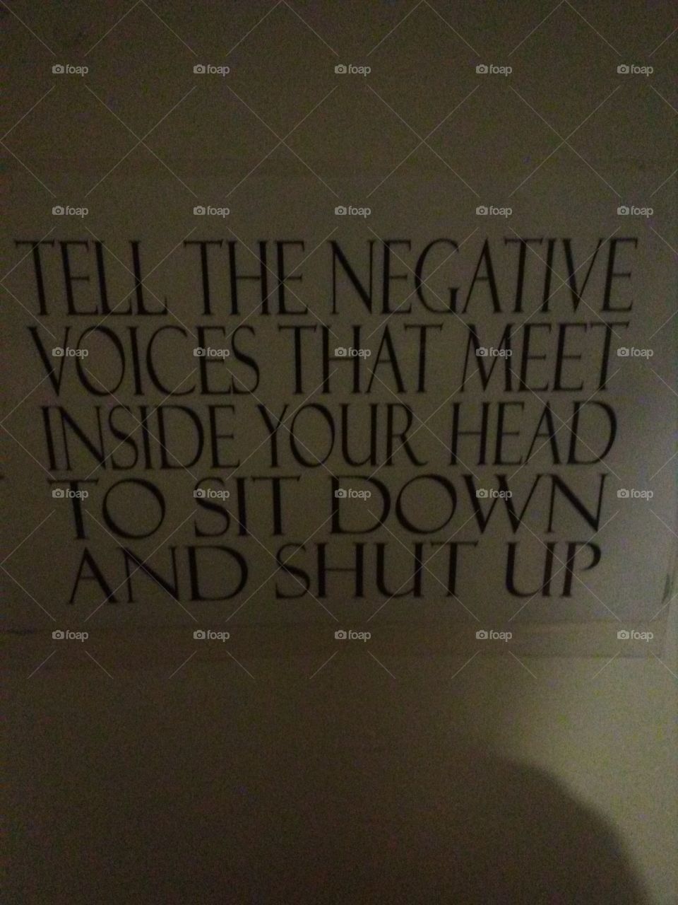 Voice's and negative thoughts.