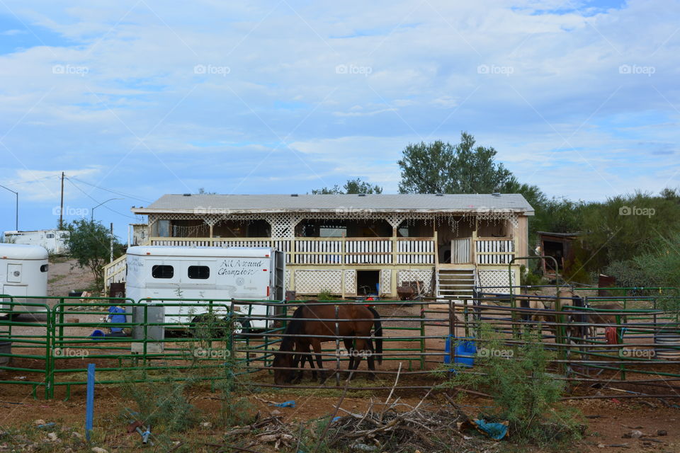 Arizona horse ranch. deep in the desert this horse ranch exists  contributing to equines allover arizona