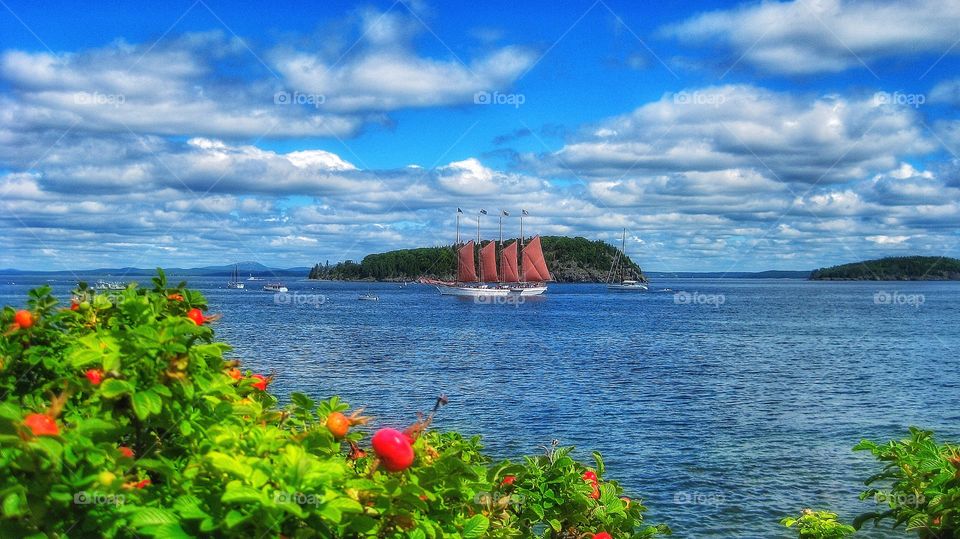 Bar Harbor Maine