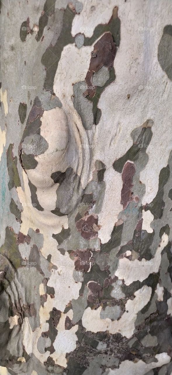 La naturaleza y sus texturas