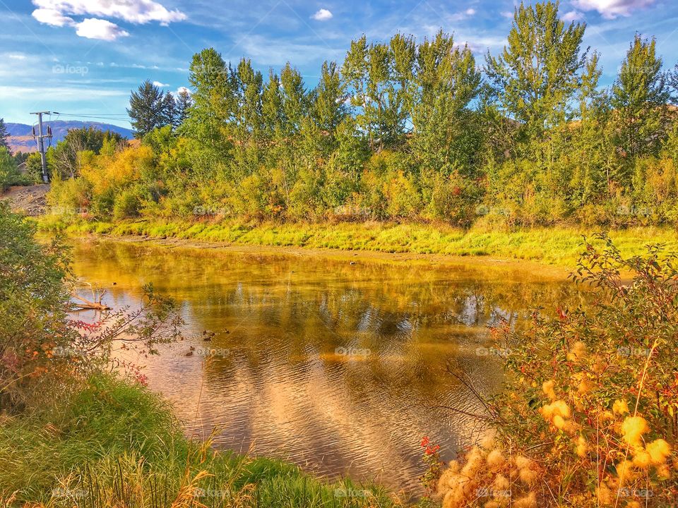 Beautiful sunny day at the lake 