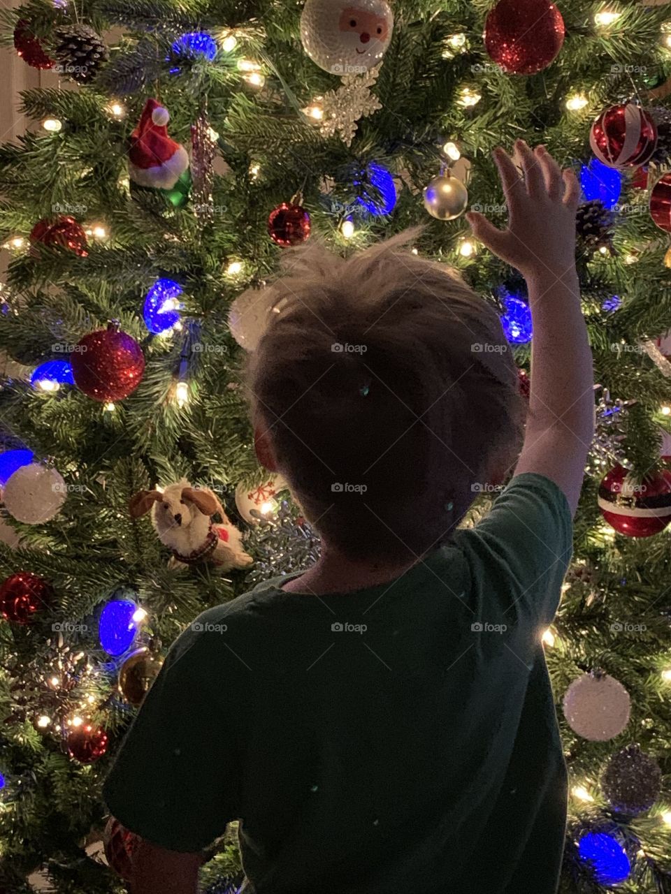Little boy reaching for the Christmas star
