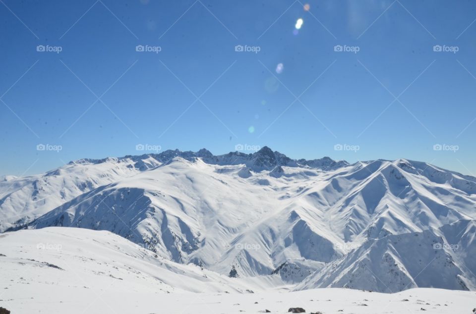 snow ladden Gulmarg