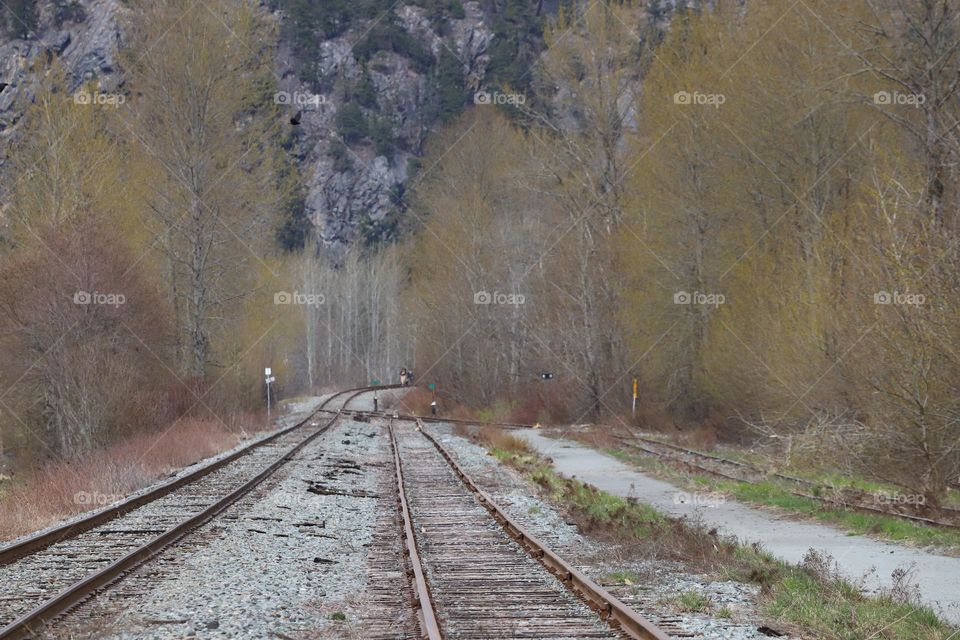 Old train tracks 