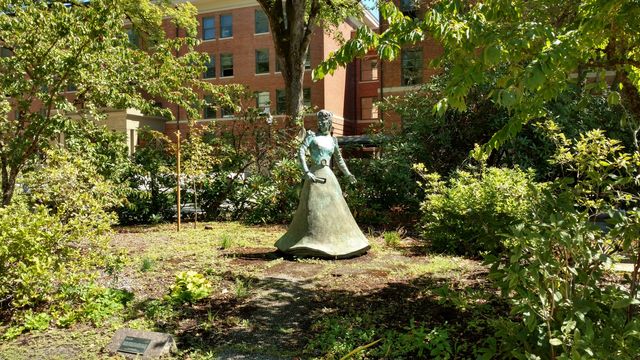 Garden, Tree, Park, No Person, Flower
