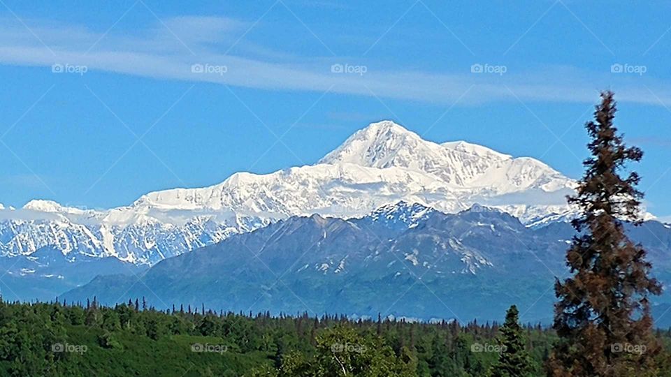 My.Denali towers over the Alaskan Mtn. Range on a blue sky day.