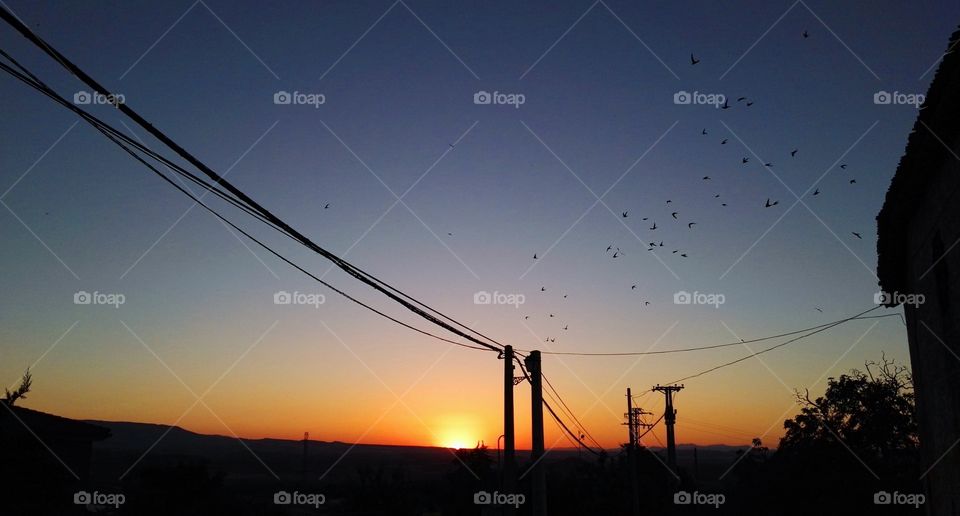 sunset, cables, electricity poles and birds flying in the dark sky