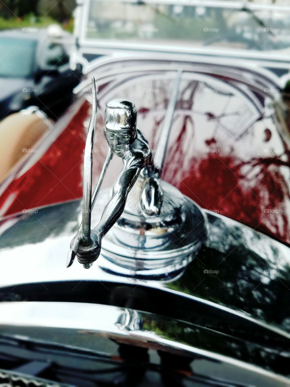 car hood ornament closeup