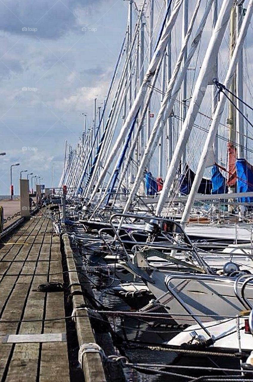 Sailboats in harbour