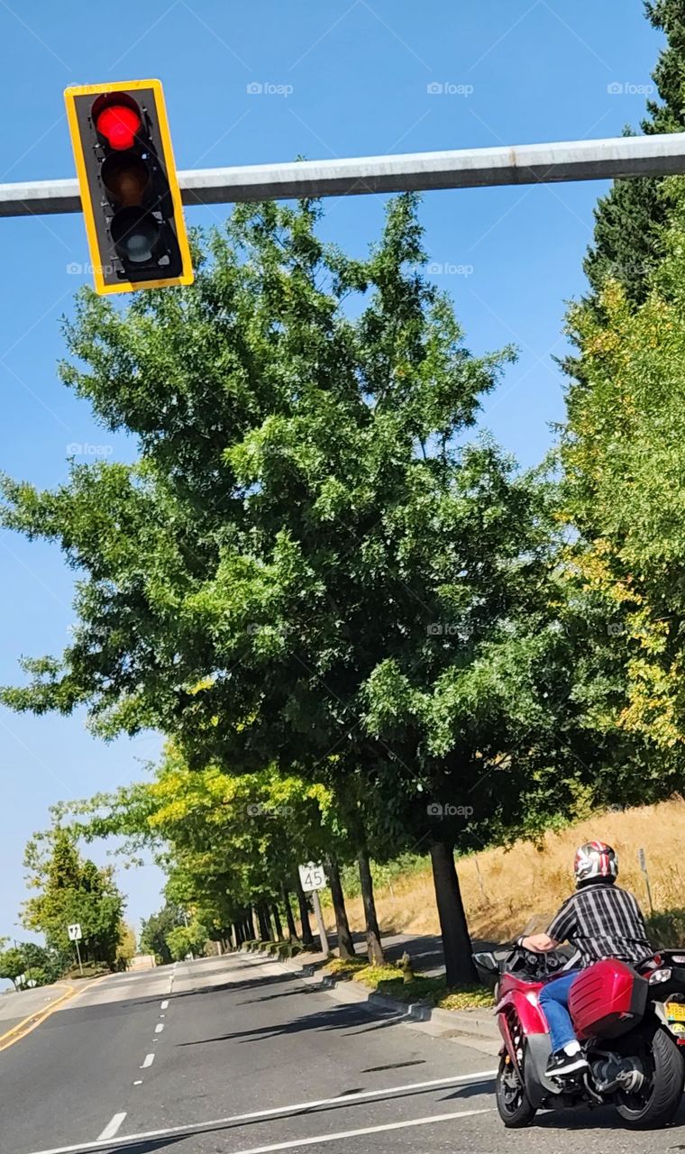 man riding a red motorcycle turning a corner onto a tree lined street in Oregon