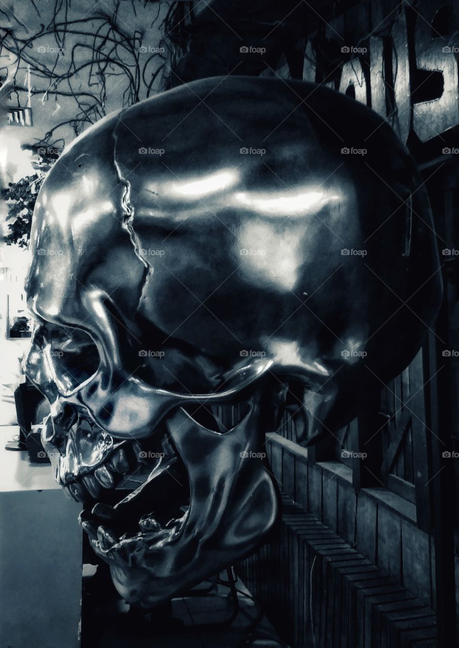 metal skull