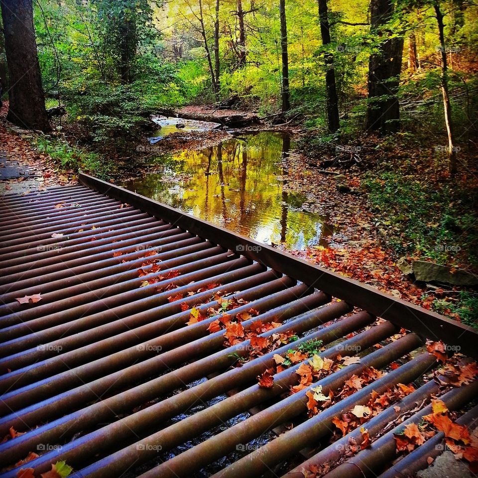 Wolf Pen Branch Crossing 