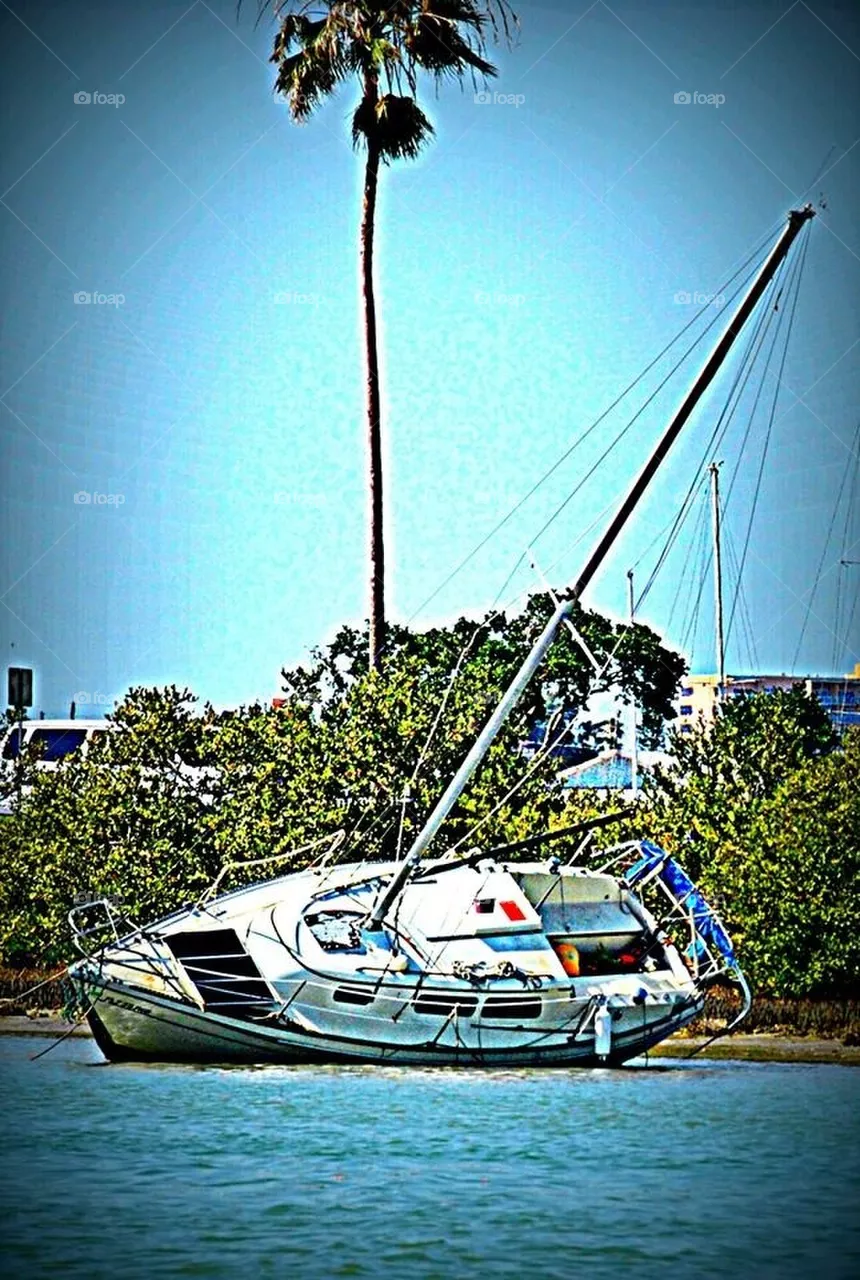 Shipwrecked