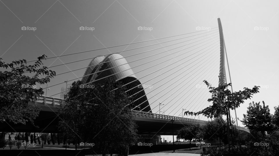 bridge Agora Valencia