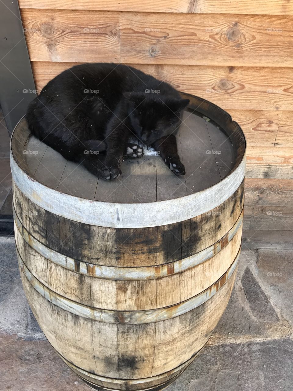 Sleeping black cat on wooden barrel 