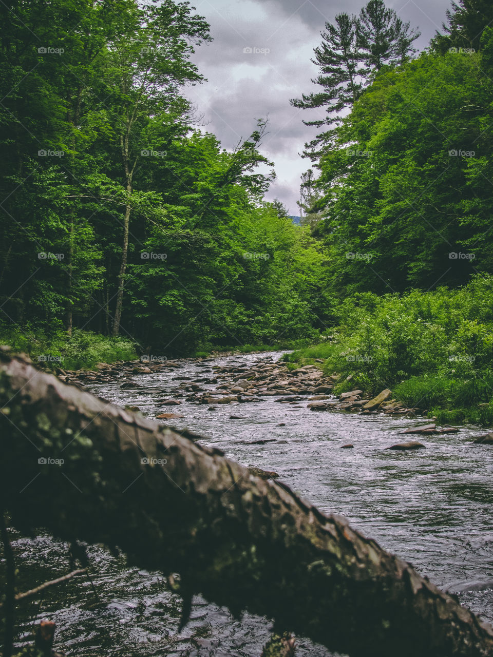 Arkville, New York, sun, sky, clouds, mountains, river, nature summer, top of the mountain , Landscape, view, panoramic view, forest, river, fallen tree, 