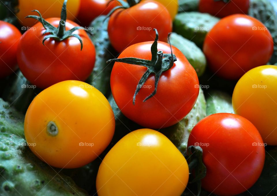 colorful tomatoes and cucumbers homemade