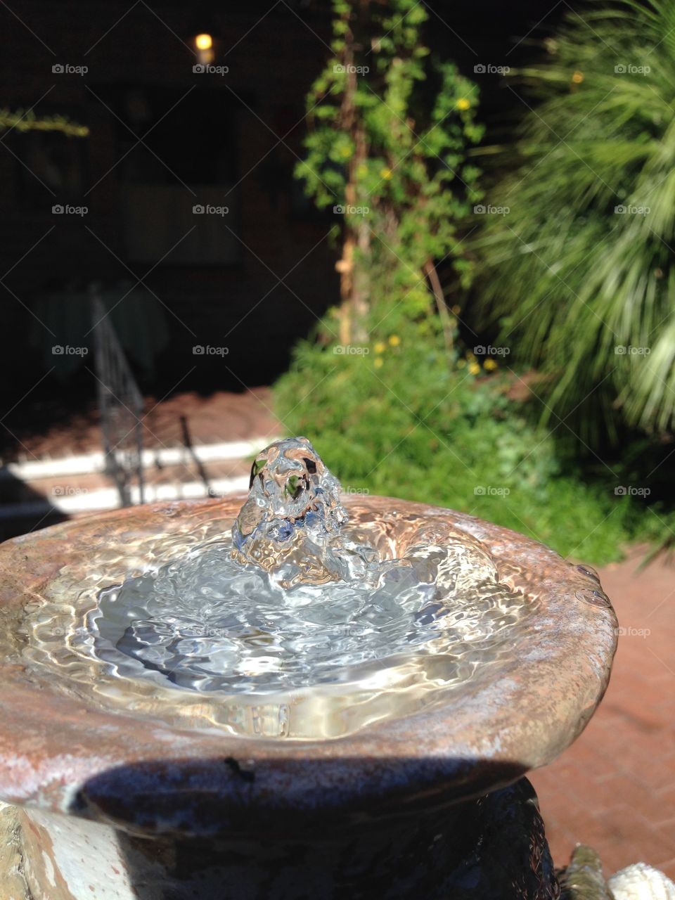 Water me. Water fountain in Tucson AZ 